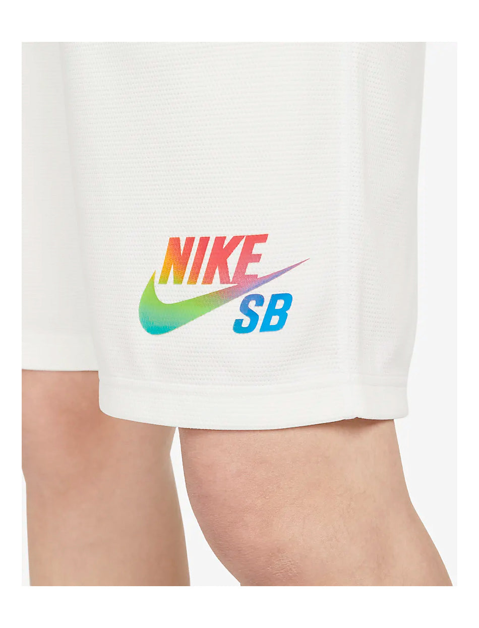 Nike SB Be True Sunday Short
