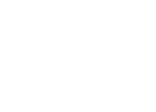 Loon Logo